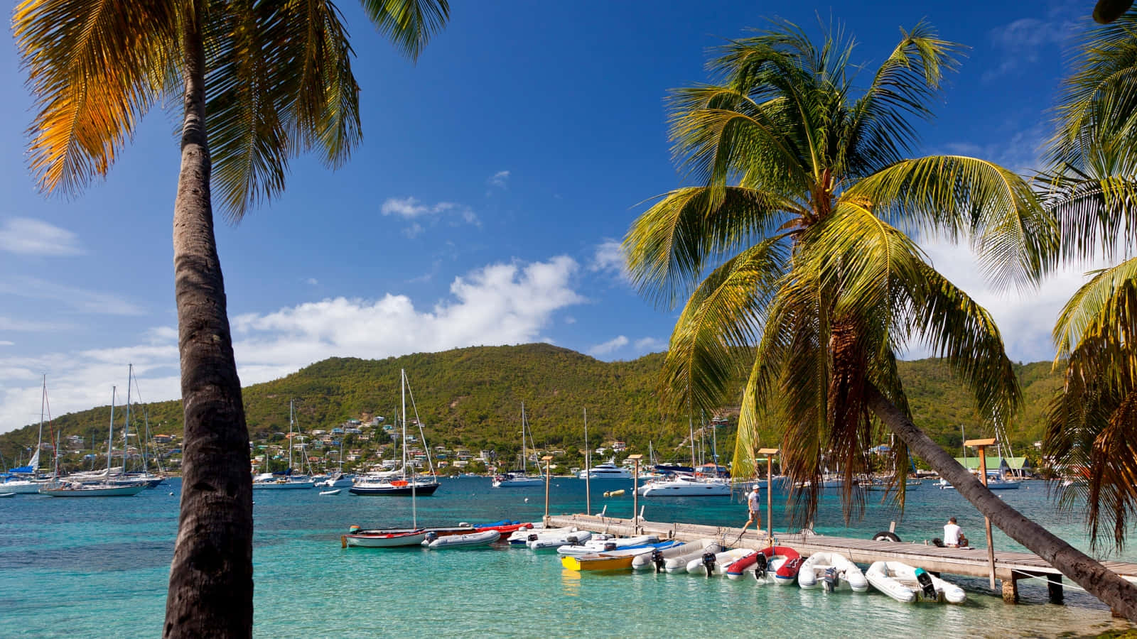 Tropical Marina Saint Vincentandthe Grenadines Wallpaper