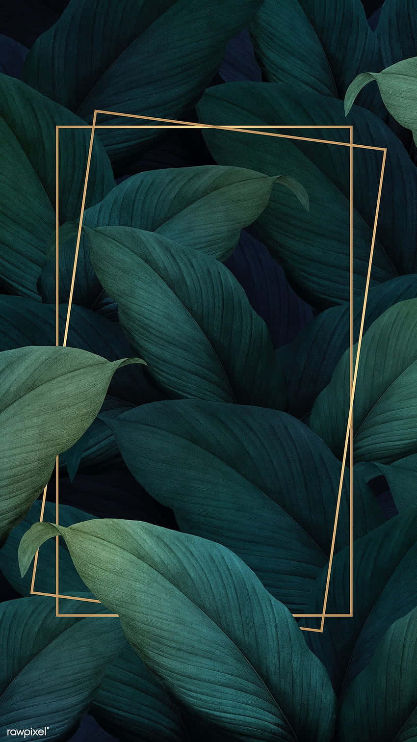 Tropical Oasis Of Aesthetic Palm Leaves. Wallpaper