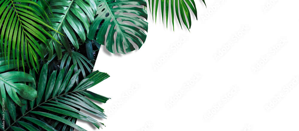 Tropical Palm Leaves In Vivid Aesthetic Wallpaper