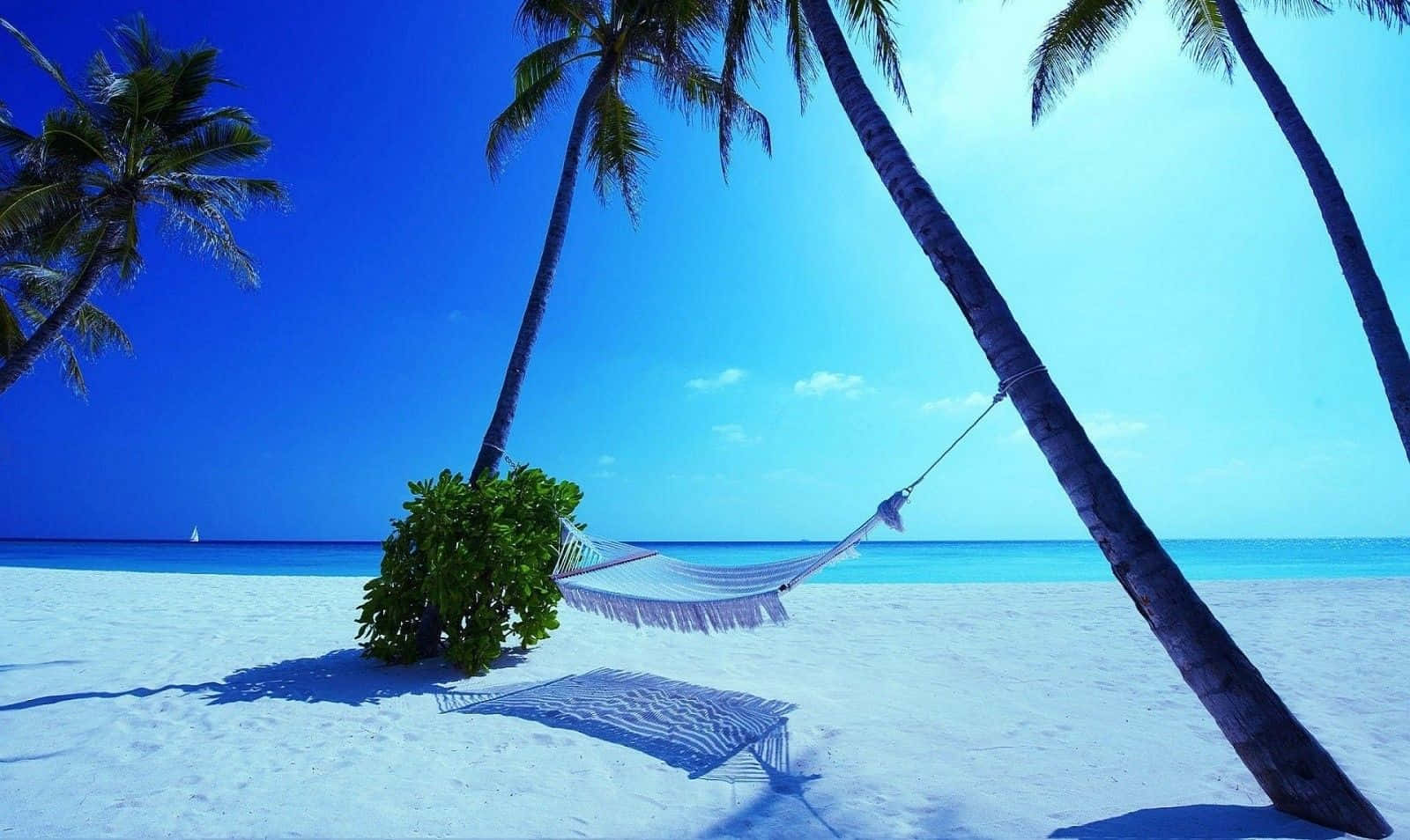 Tropical Serenity At Maldives Beach Wallpaper