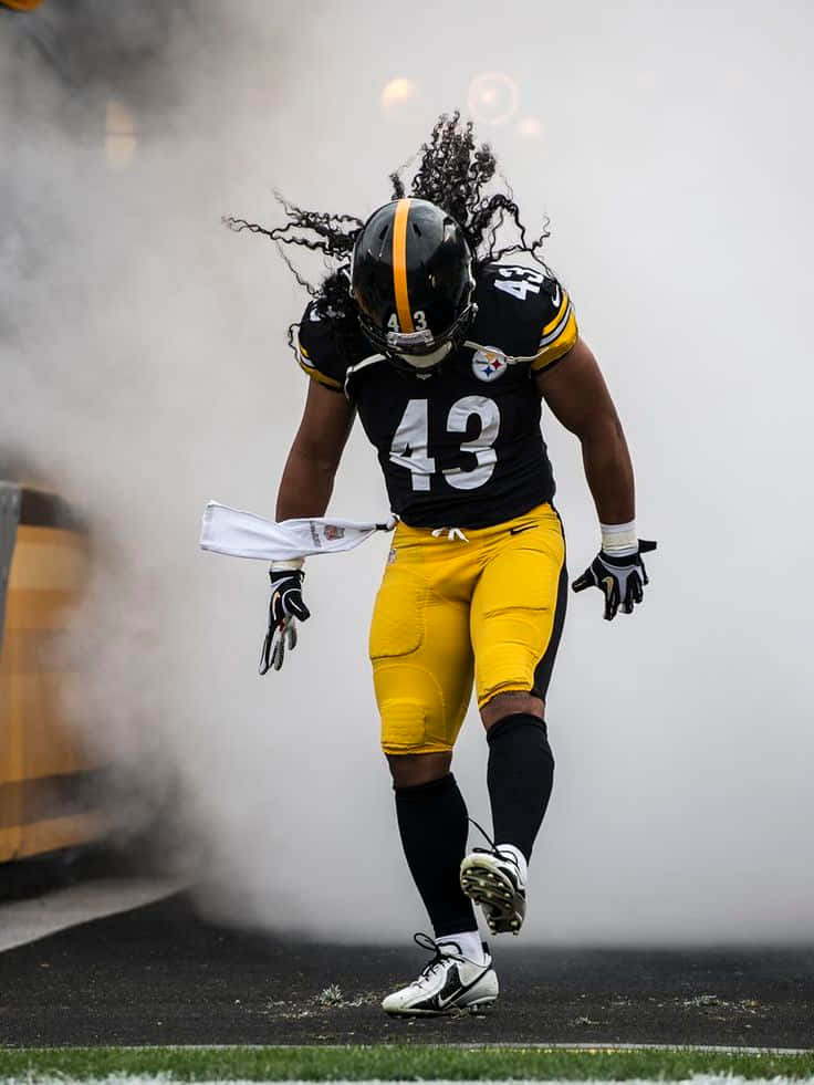 Troy Polamalu At The Steelers Game Wallpaper