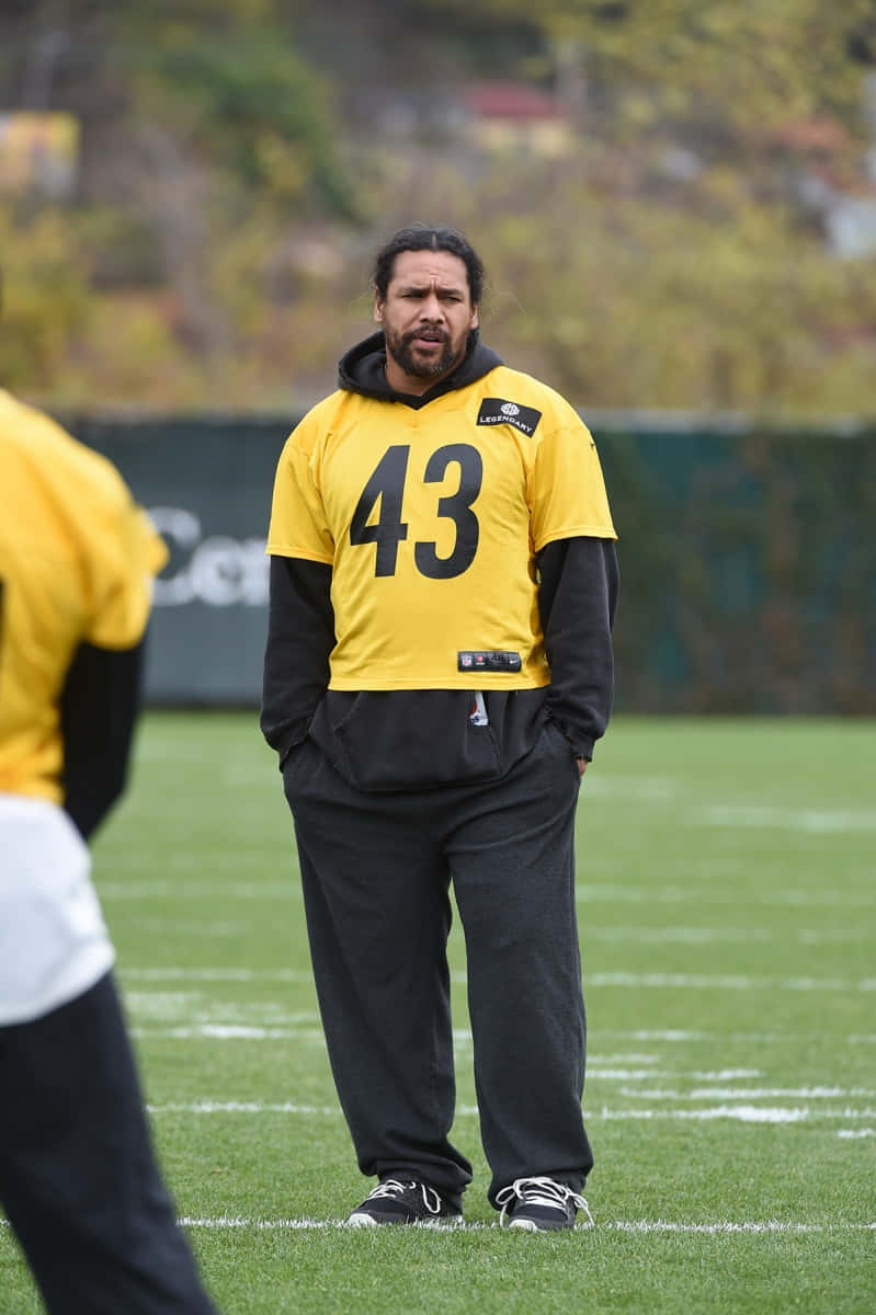 Troy Polamalu, Legendary Nfl Safety For The Pittsburgh Steelers Wallpaper