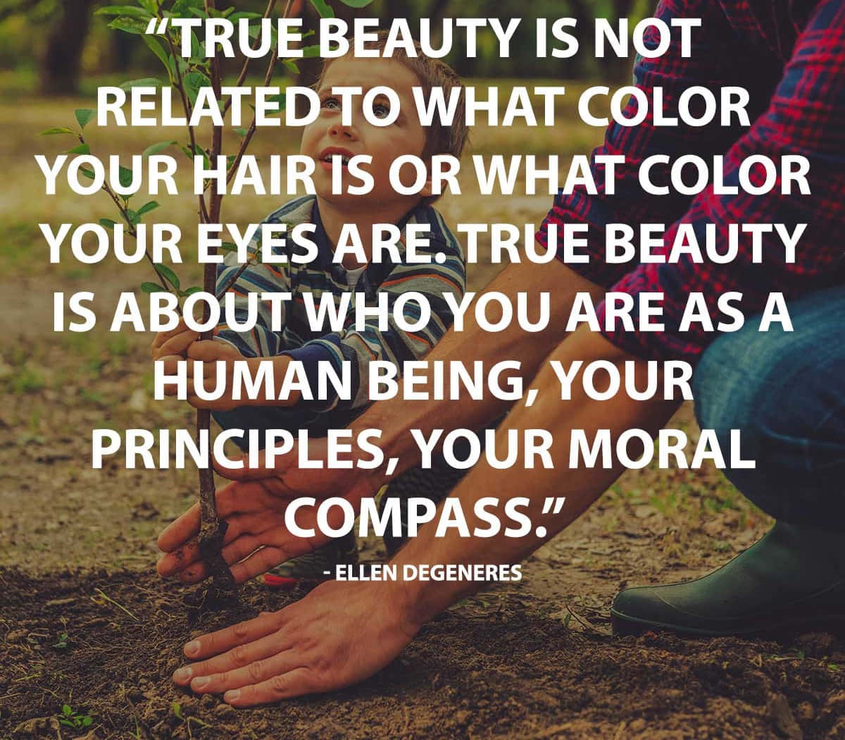 True Beauty Character Quote Ellen De Generes Wallpaper