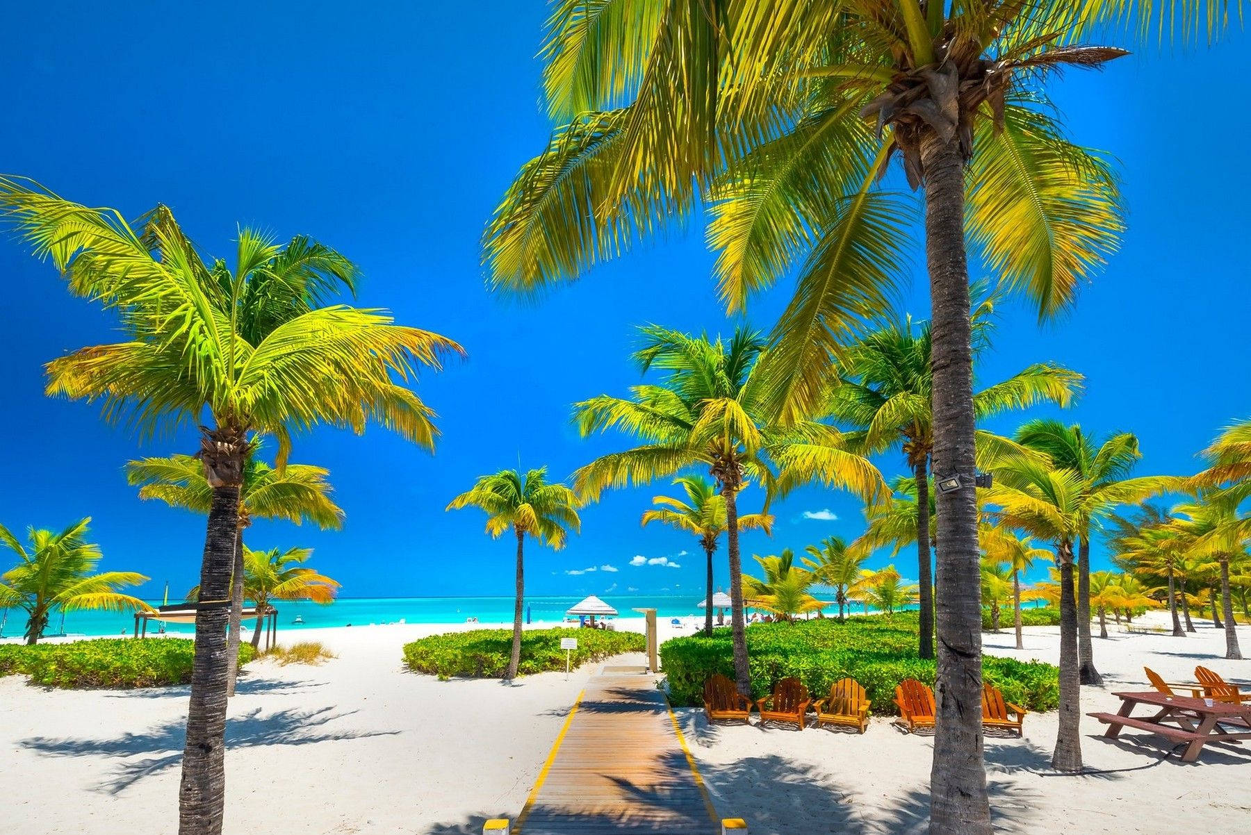 Turks And Caicos Yellow-green Palm Trees Wallpaper