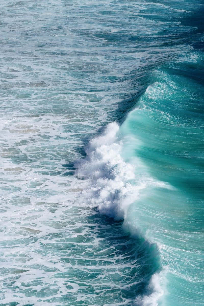 Turquoise Wave Cresting Wallpaper