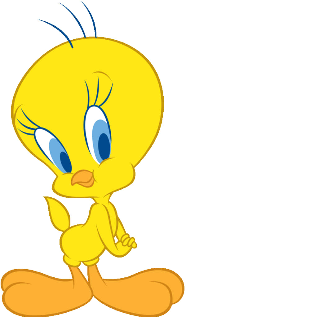 Tweety Bird 1000 X 1023 Wallpaper