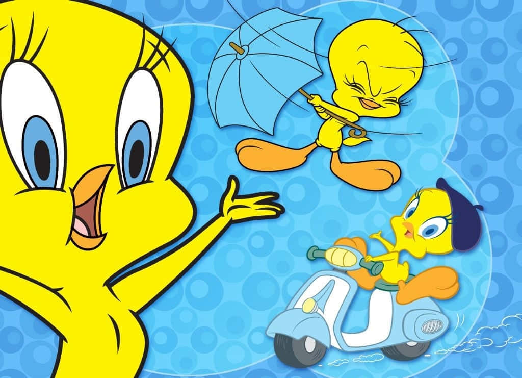 Tweety Bird 1024 X 741 Wallpaper