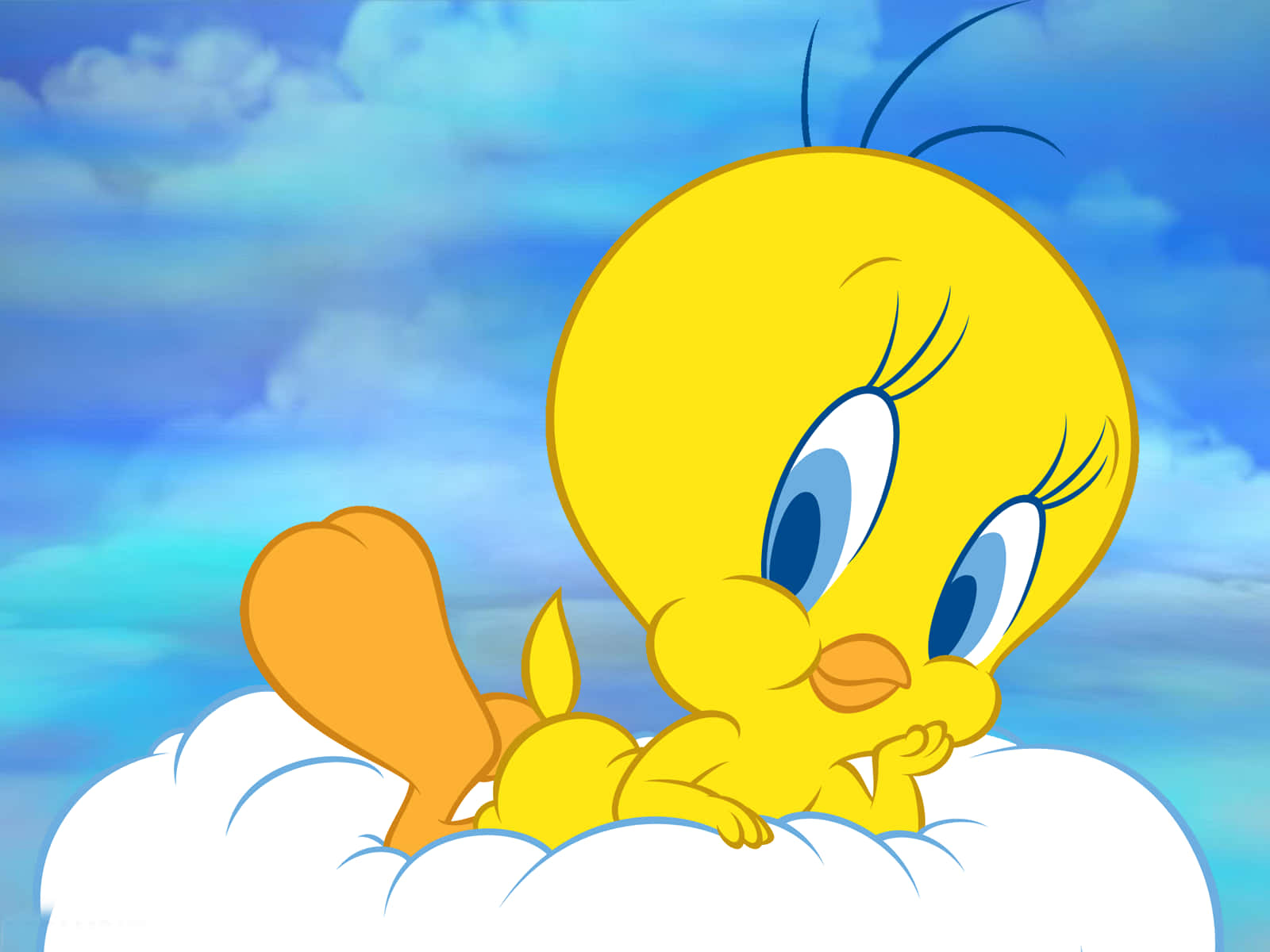 Tweety Bird 1600 X 1200 Wallpaper