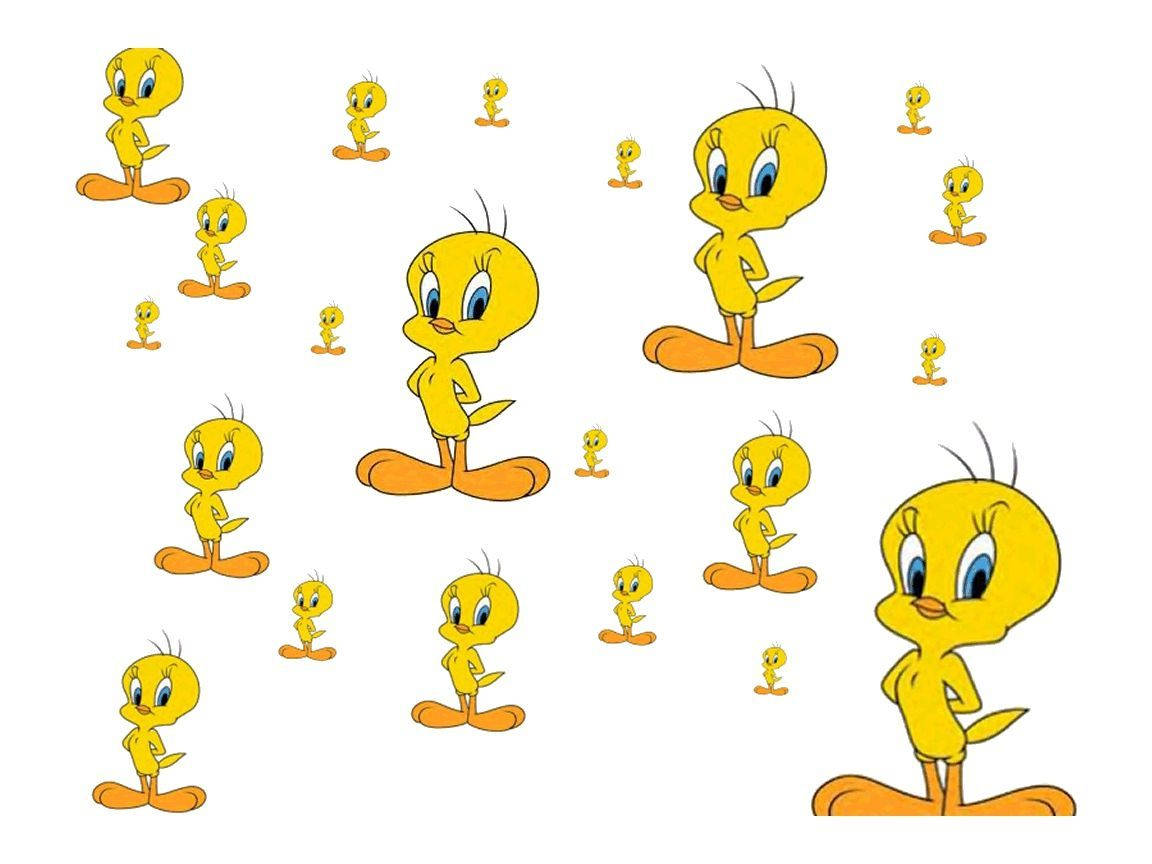 Tweety Bird In Various Sizes Wallpaper