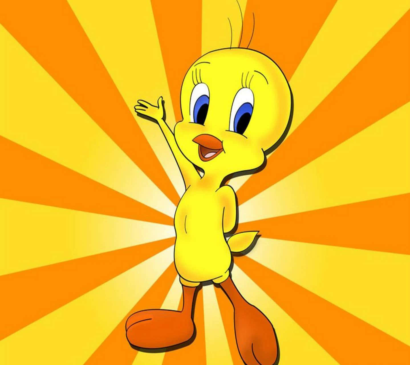 Tweety Bird Wallpaper