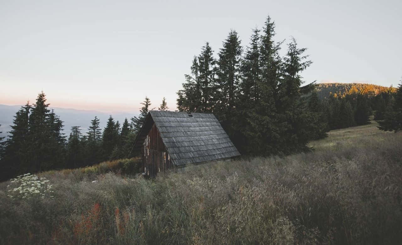 Twilight_ Cottage_in_ Woods.jpg Wallpaper