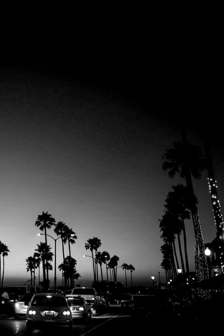 Twilight Palm Silhouettes Black White Wallpaper