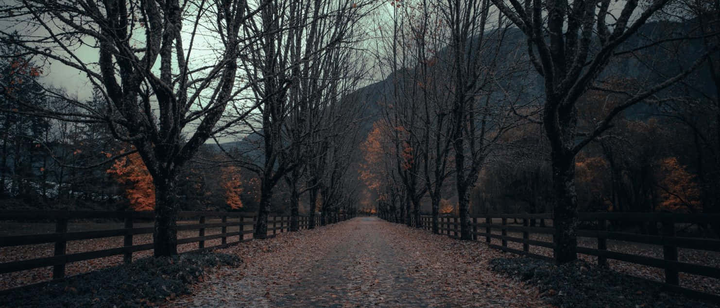 Twilight_ Pathway_ Dark_ Fall_ Aesthetic.jpg Wallpaper