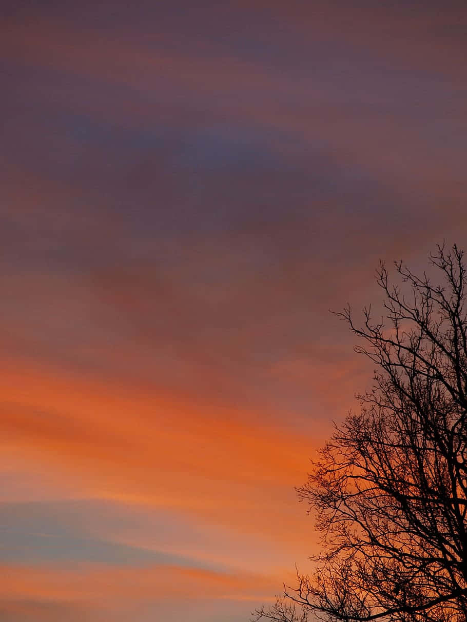 Twilight Silhouette Romantic Sky Wallpaper