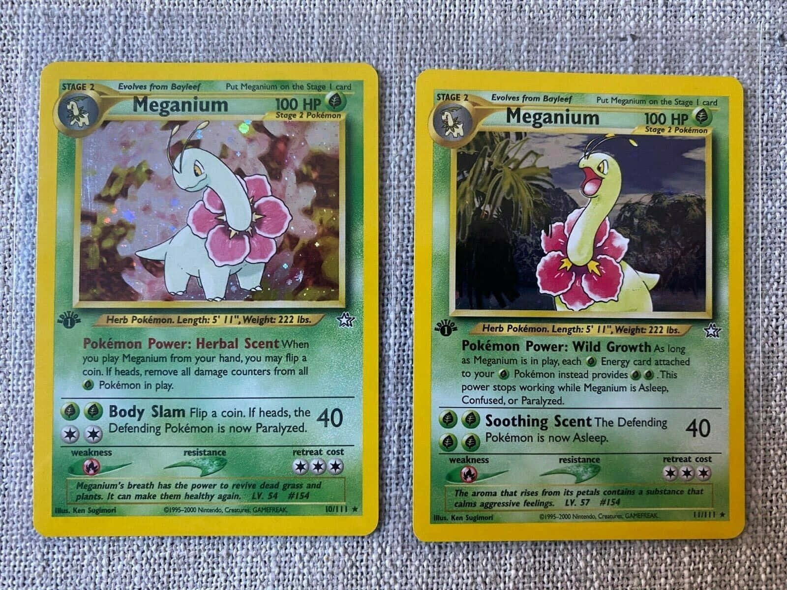 Two Meganium Pokemon Trading Cards Wallpaper