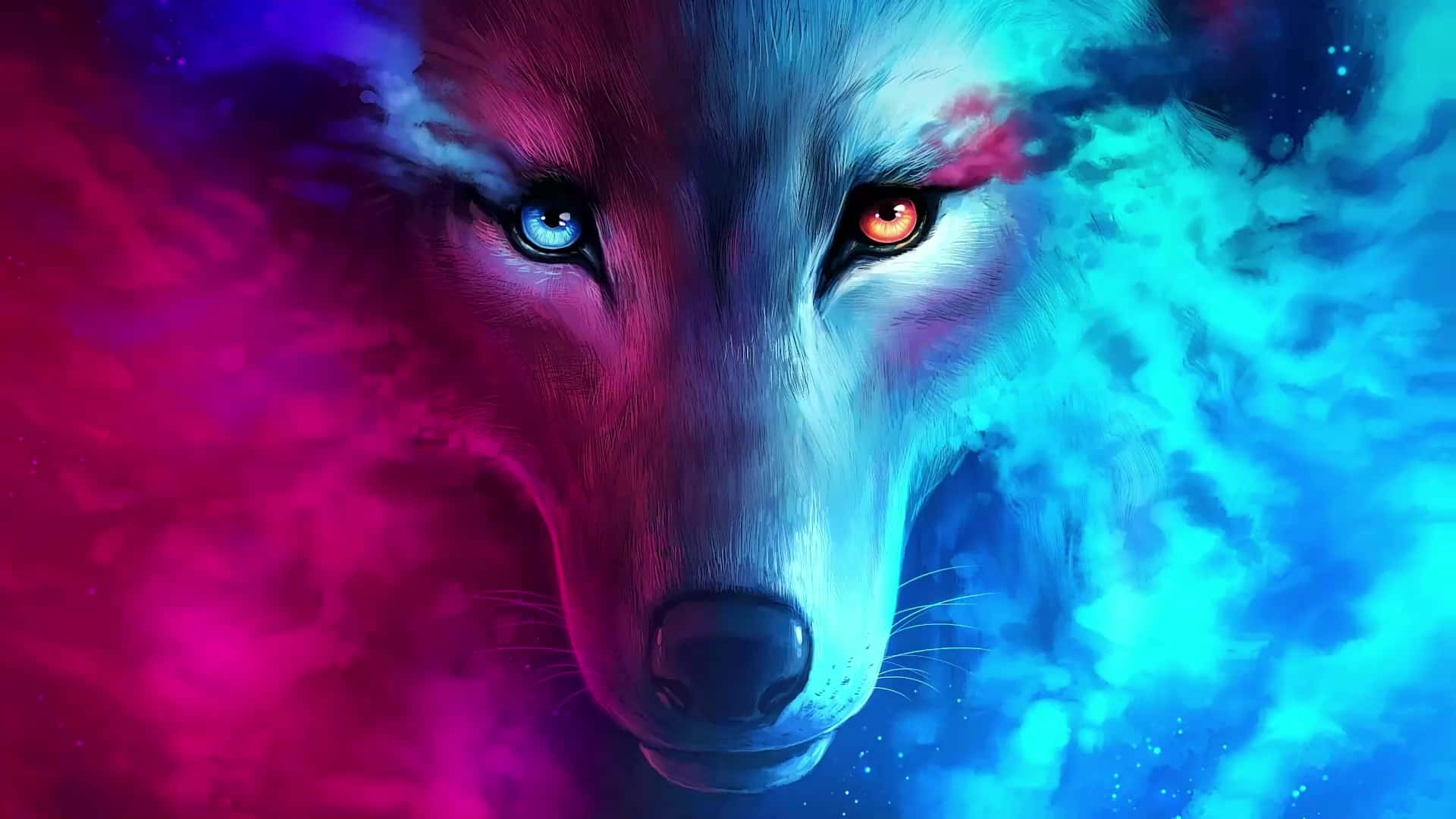 Two Wolves – One Of Fire And One Of Water Wallpaper