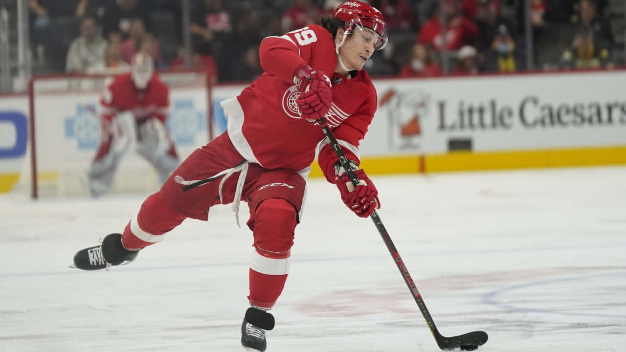 Tyler Bertuzzi 1280 X 720 Wallpaper Wallpaper