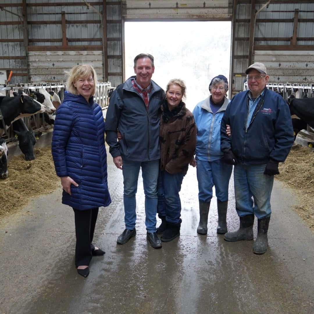 U.s Senator Tammy Baldwin On A Dairy Farm Wallpaper