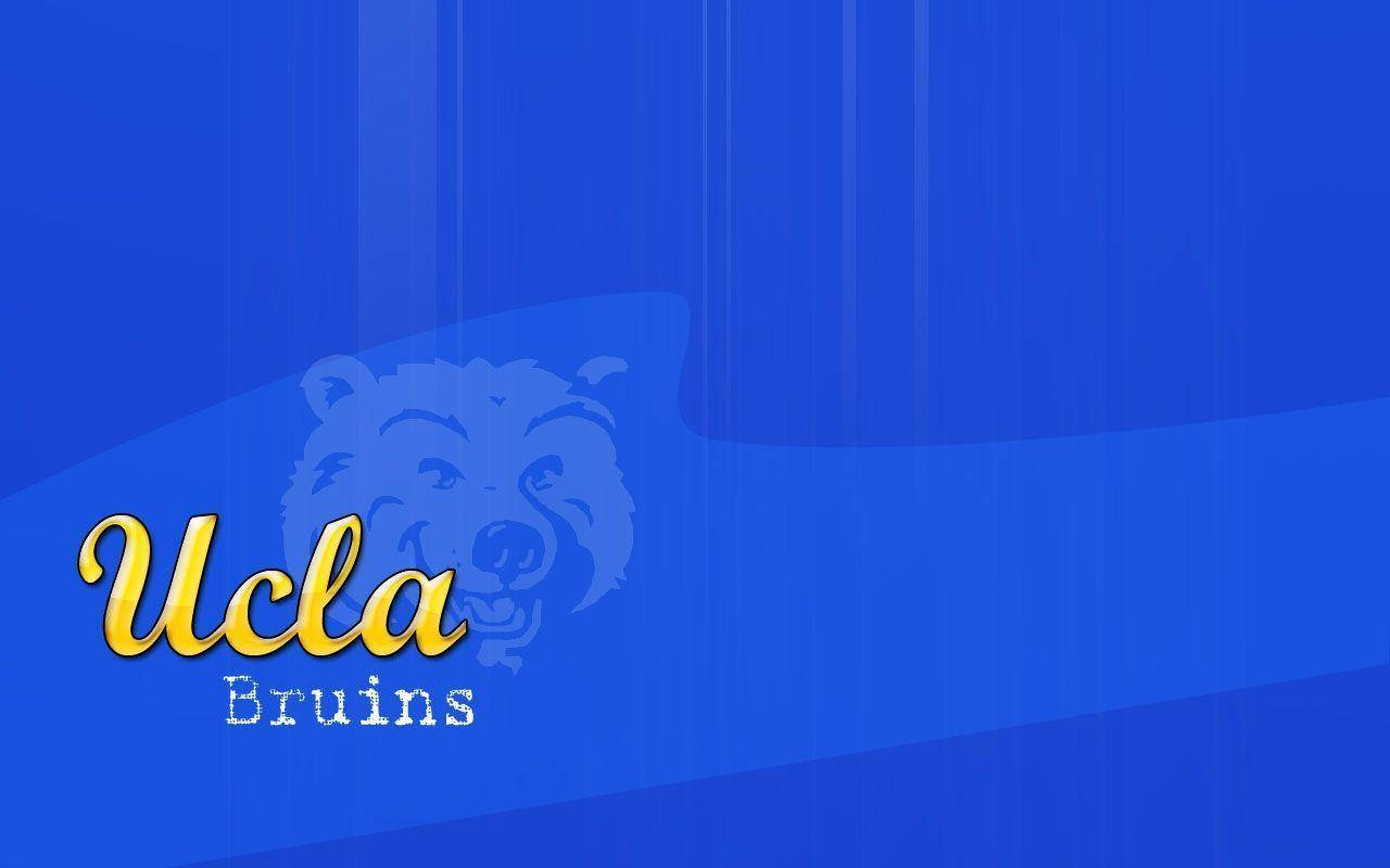 Ucla Joe Bruin Wallpaper