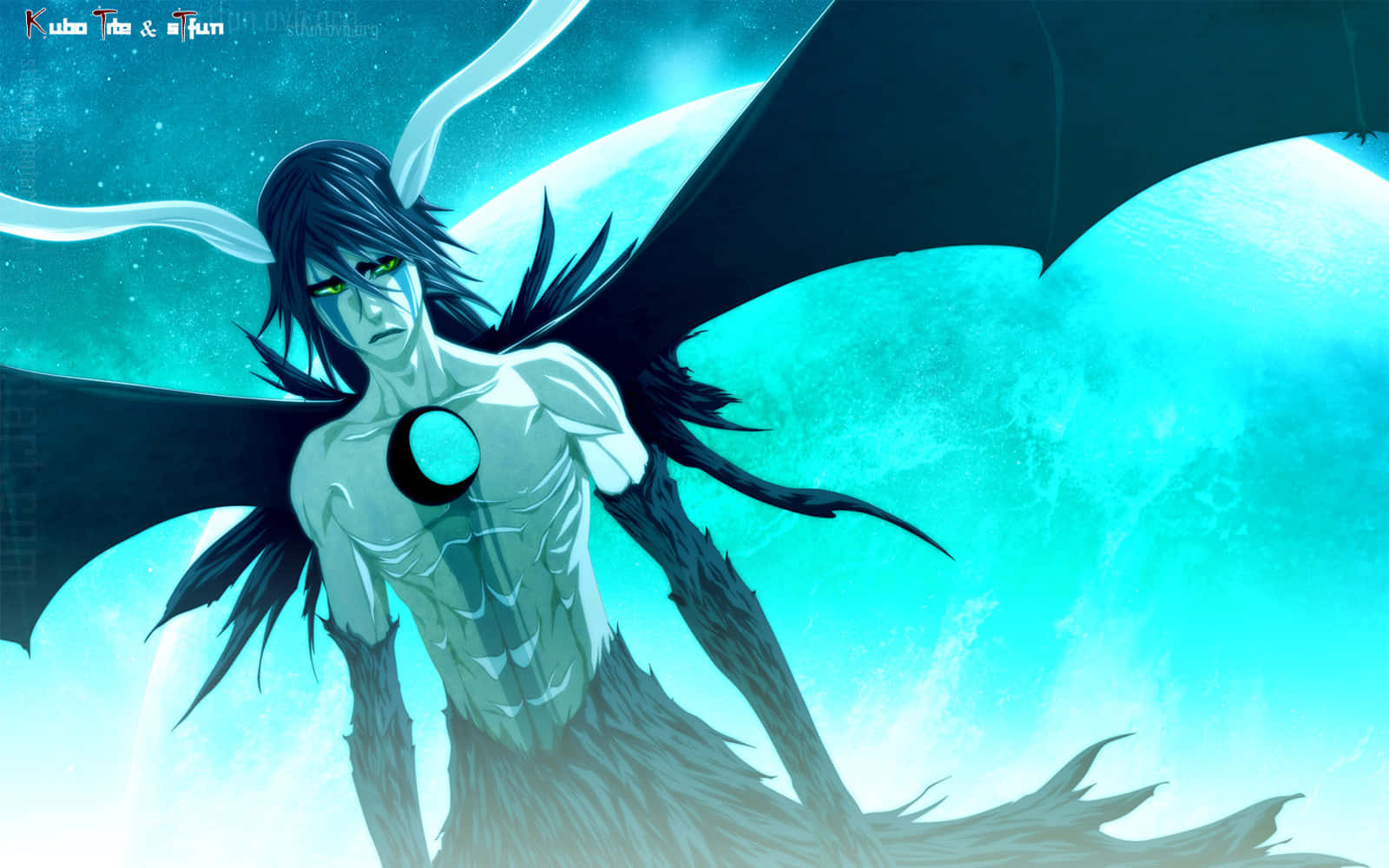 Ulquiorra Cifer - A Mysterious Character From Bleach. Wallpaper