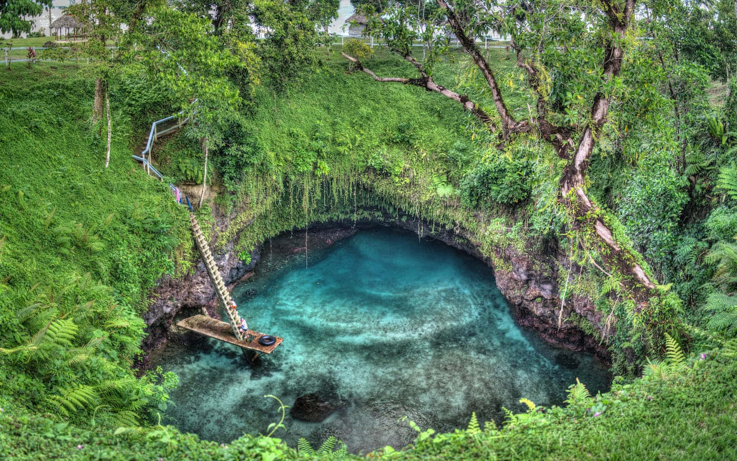 Underground River In Apia Wallpaper