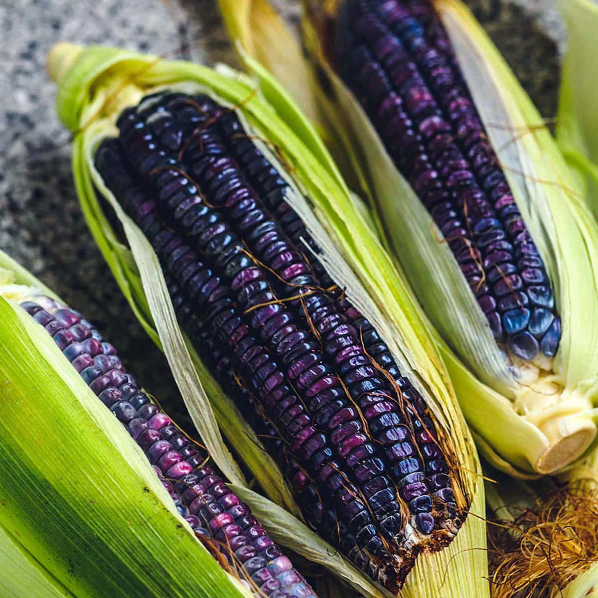 Uniquely Vibrant: A Picture Of A Field Of Purple Corn Wallpaper