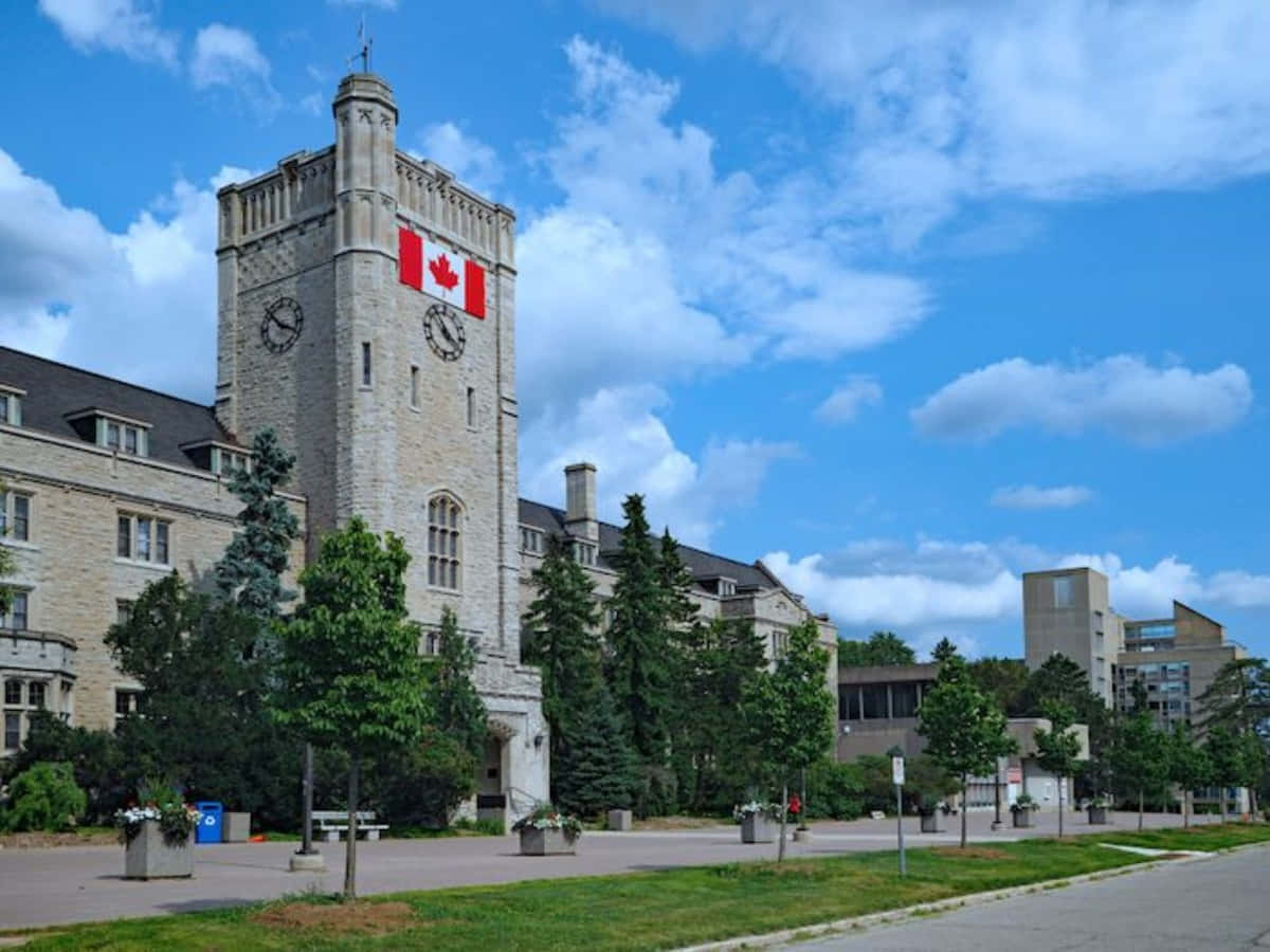 Universityof Guelph Clock Tower Canada Wallpaper