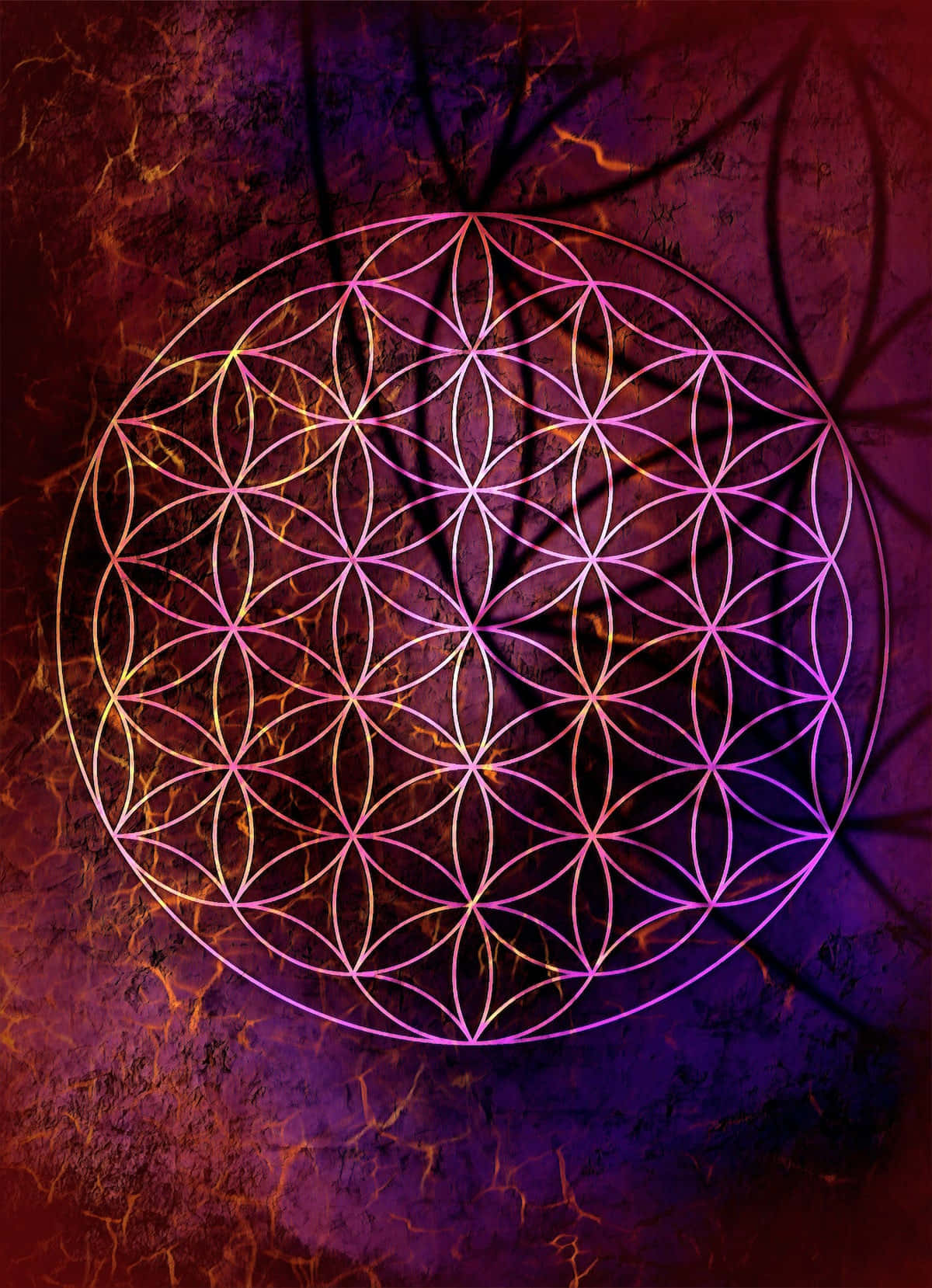 Unlock The Secrets To The Mysterious Flower Of Life. Wallpaper