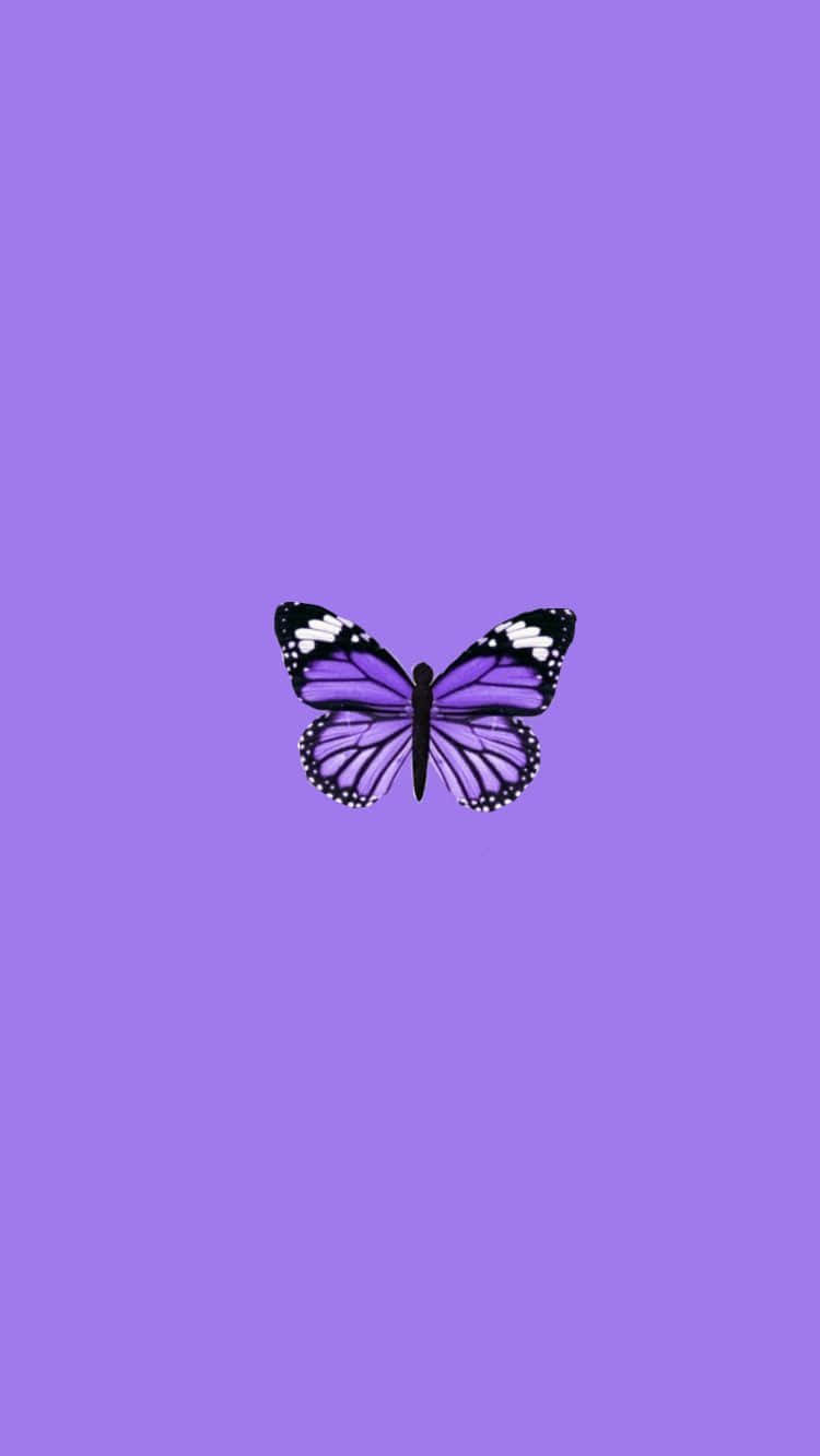 Unlock Your Creativity With The Purple Butterfly Iphone Wallpaper