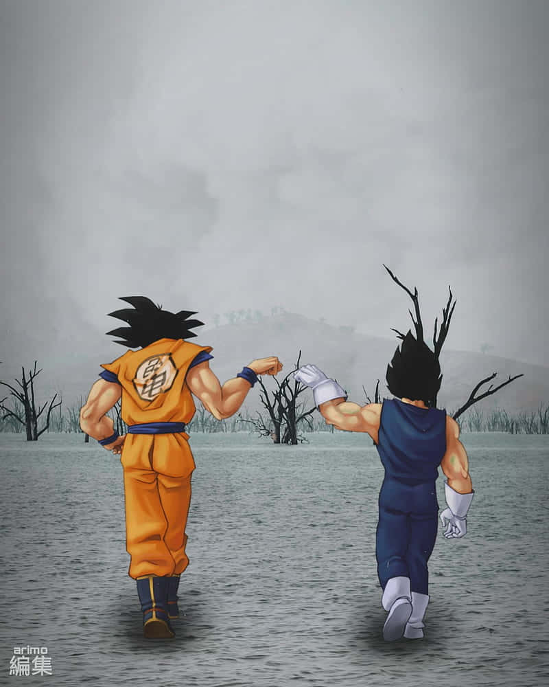 Unstopable Power: Time For Fight Between Goku And Vegeta Wallpaper