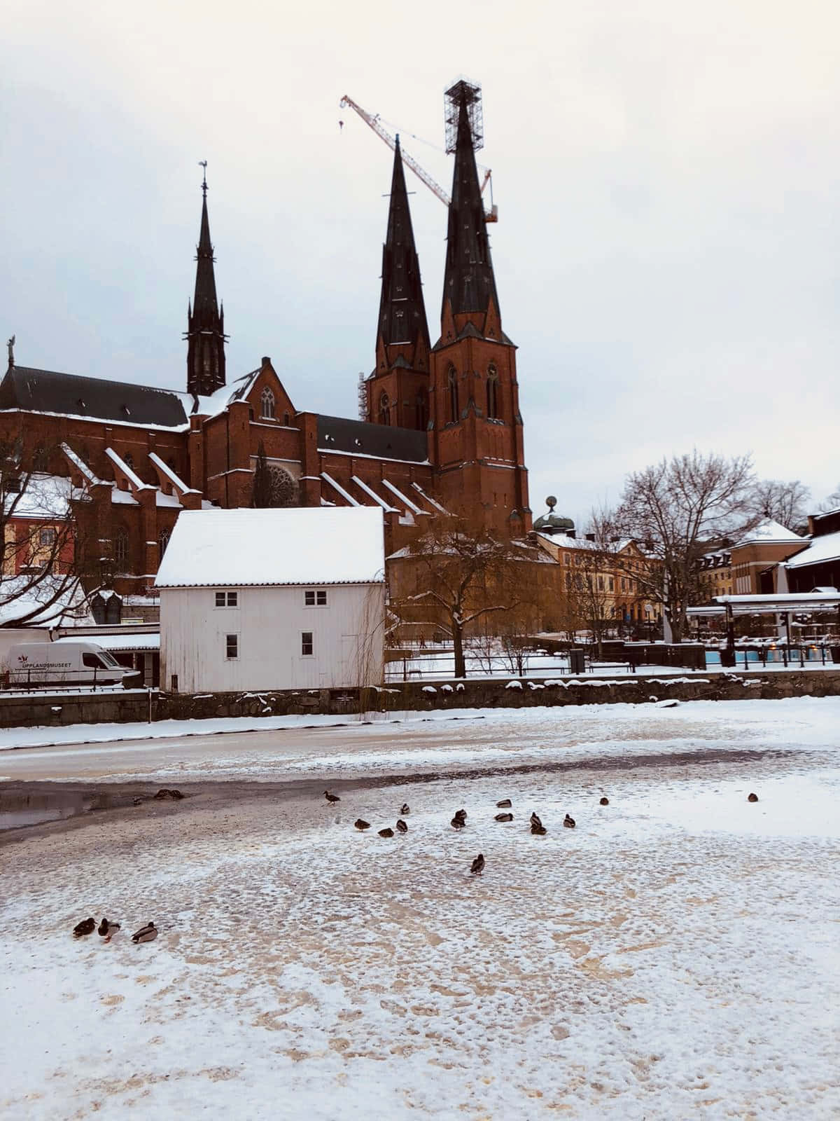 Uppsala Cathedral Winter Scene Wallpaper