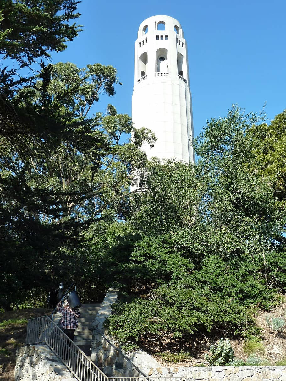 Urban Climber Reaching The Top Of Coit Tower Wallpaper