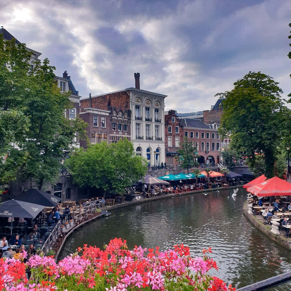 Utrecht Canal Side Dining Wallpaper