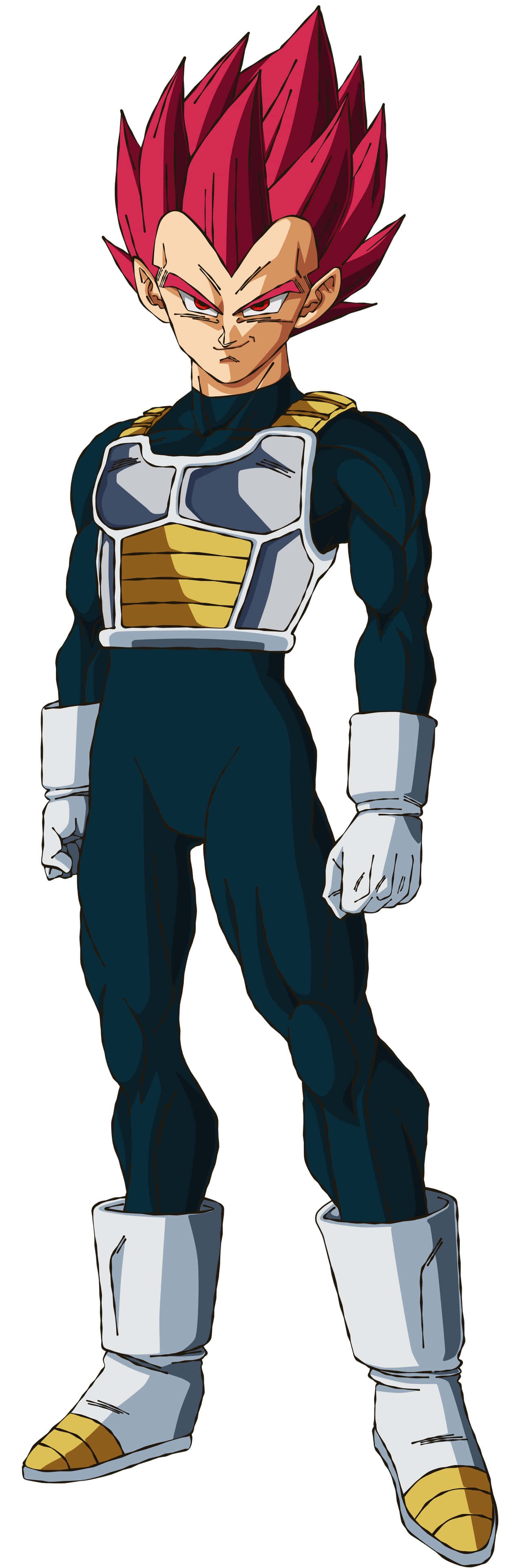 Vegeta In Super Saiyan God Form Wallpaper