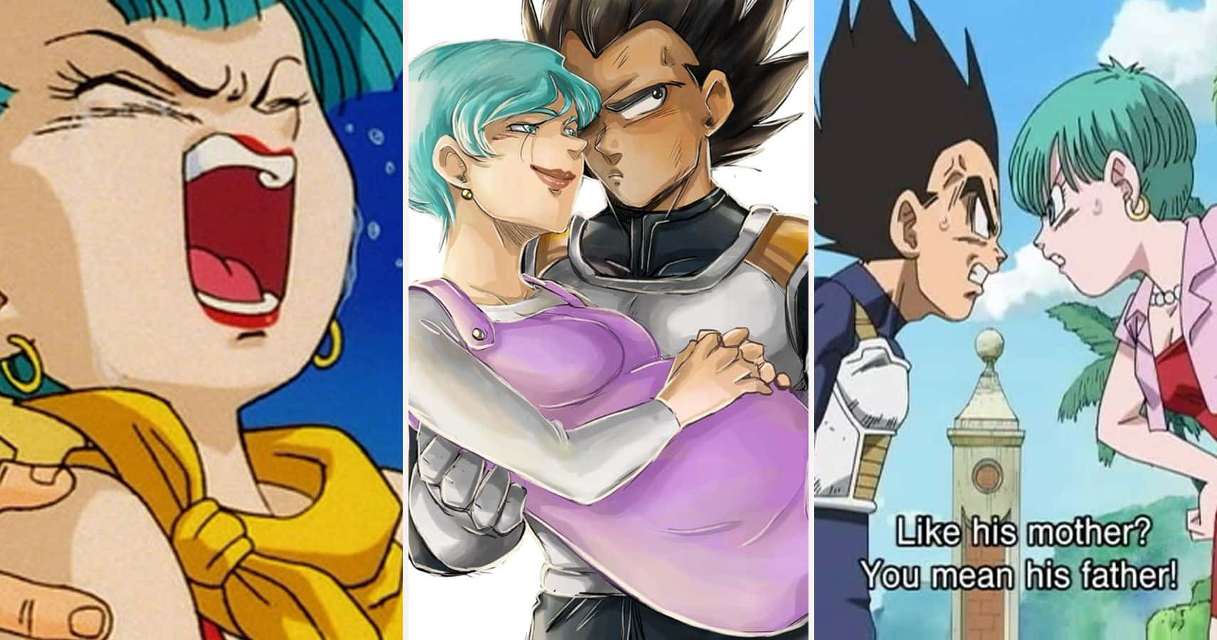 Vegeta's Family Portrait Wallpaper