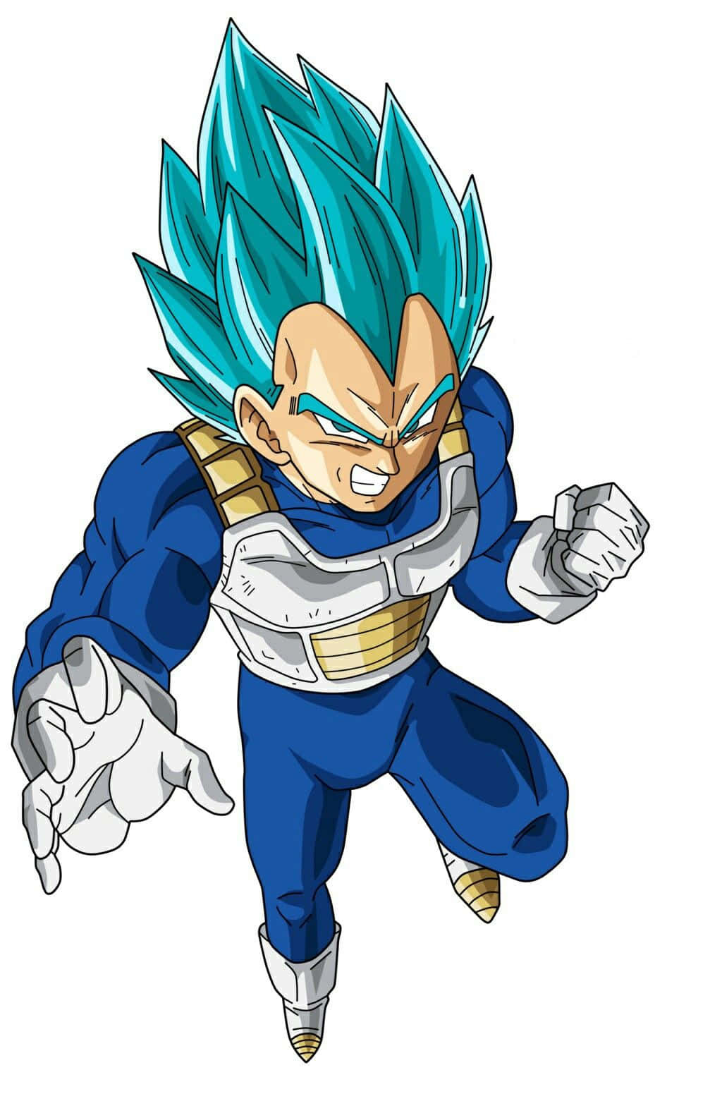 Vegeta Super Saiyan Blue In Full Power Mode Wallpaper