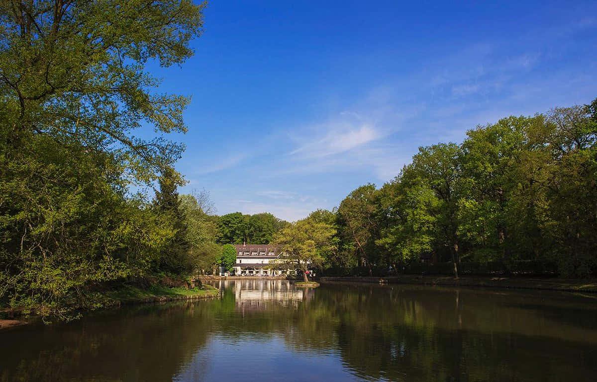 Venlo Park Lakeand Restaurant Wallpaper