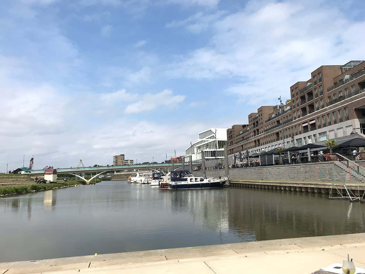 Venlo Riverfront Promenade View Wallpaper