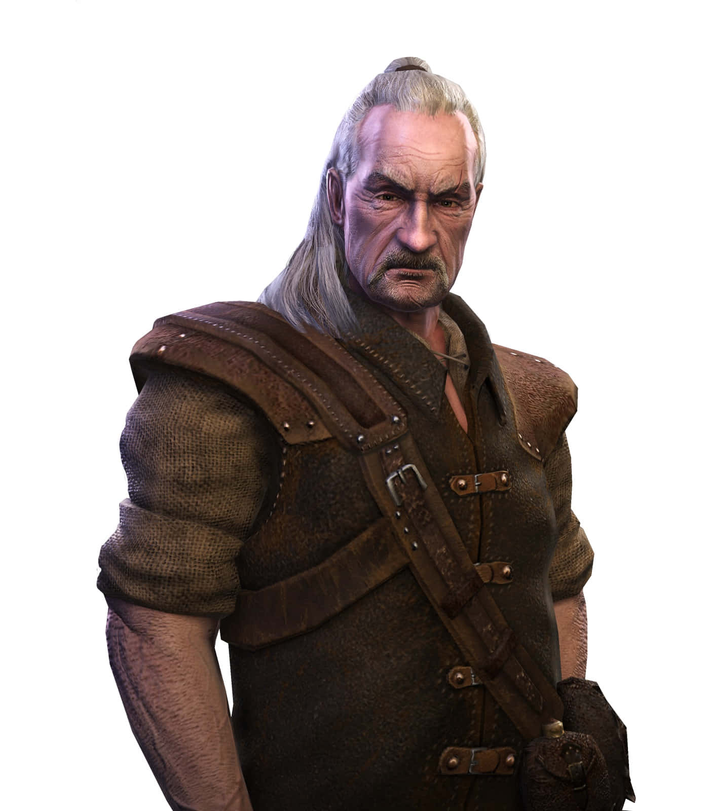 Vesemir Witcher Mentor Portrait Wallpaper