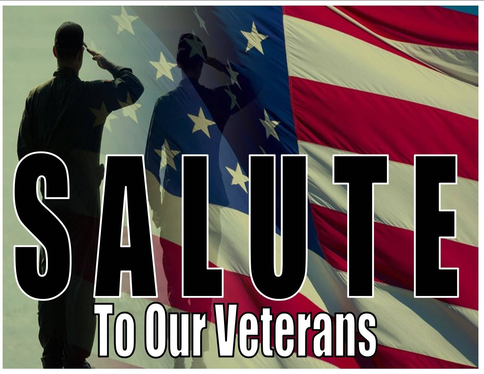 Veterans Day Big Salute Wallpaper