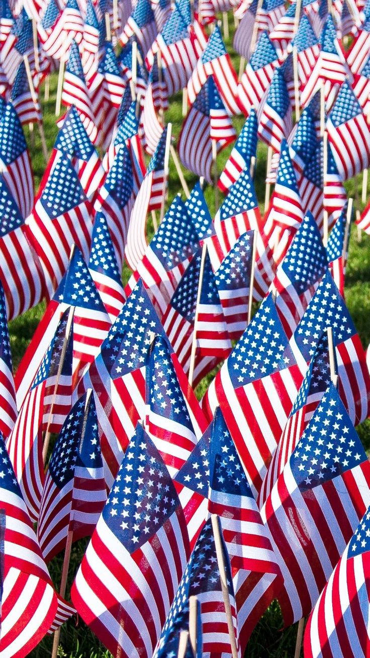 Veterans Day Small Flags Wallpaper