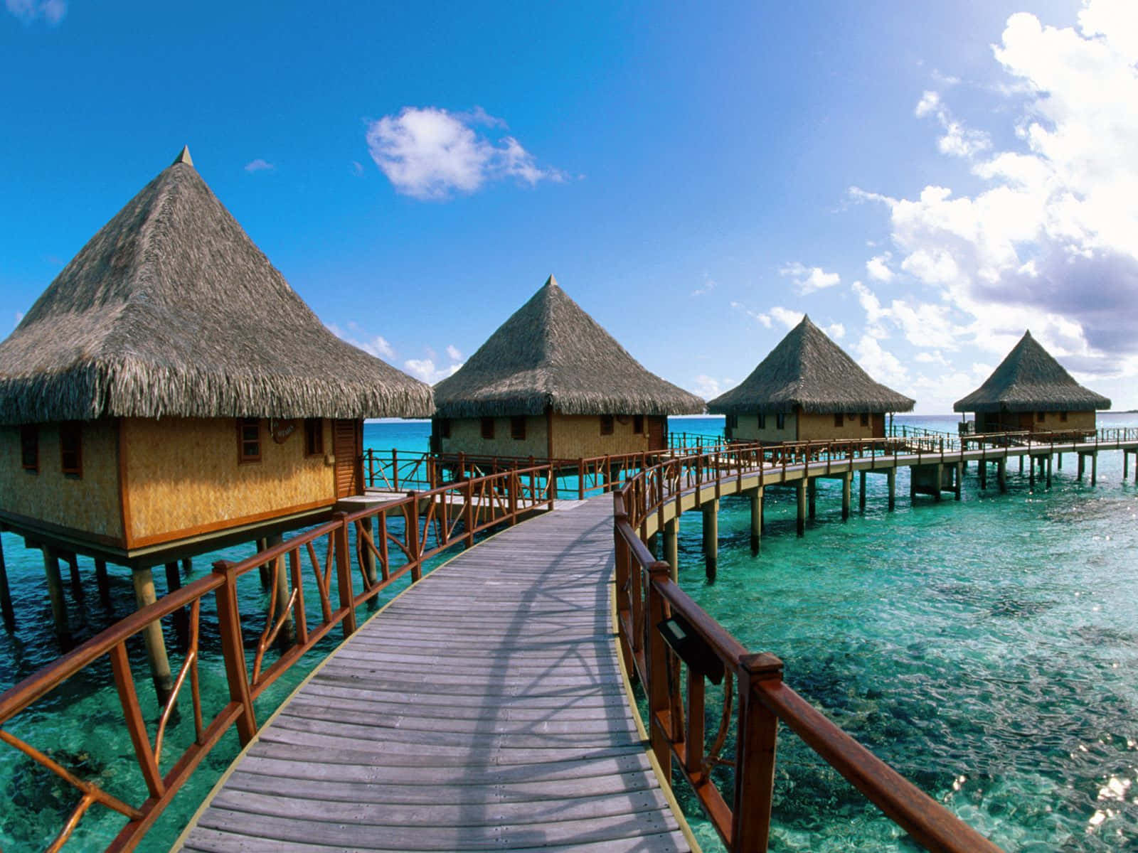 Vibrant Beach Huts On Sunny Coastline Wallpaper