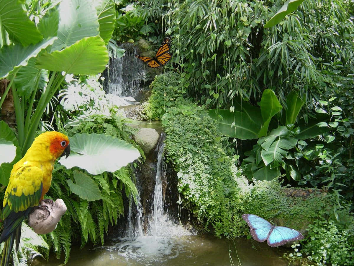 Vibrant_ Butterfly_ Park_ Scene.jpg Wallpaper