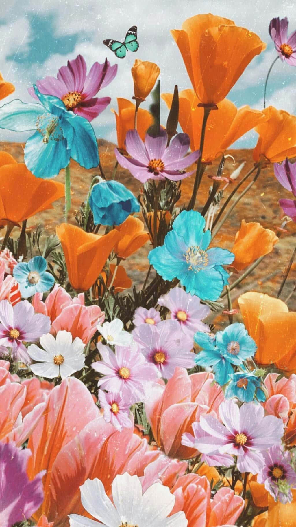 Vibrant Colorful Flowers Blooming In Nature Wallpaper