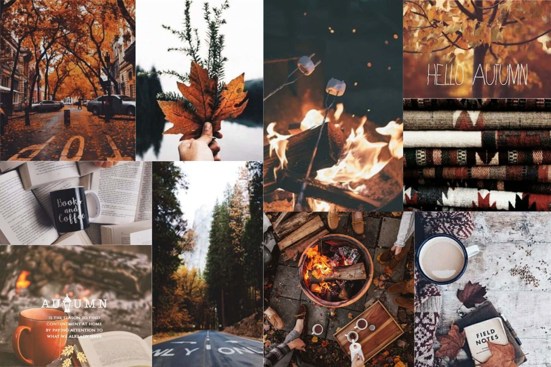 Vibrant Fall Collage Desktop Background Wallpaper