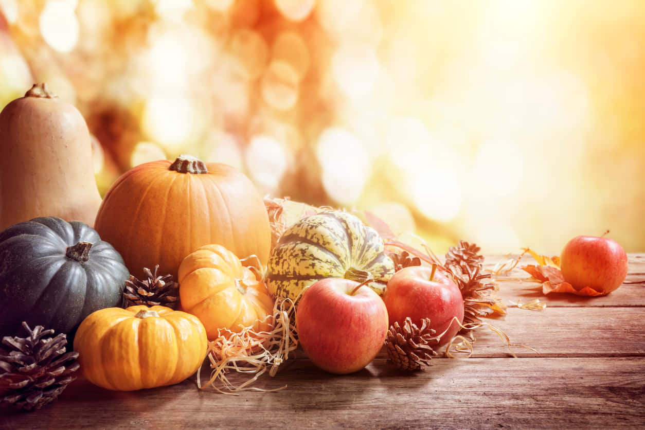 Vibrant Fall Pumpkins Display Wallpaper