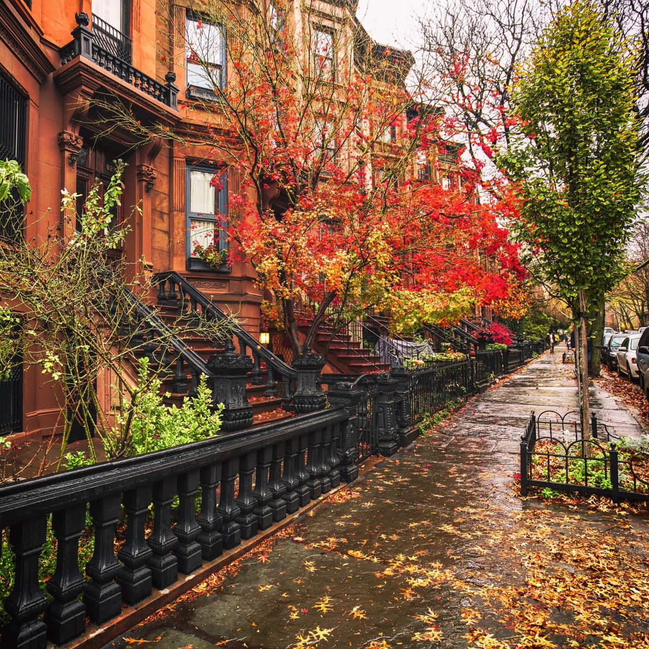 Vibrant Fallen Leaves On Fall City Streets Wallpaper