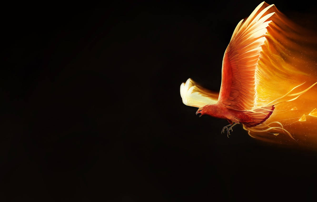 Vibrant Fire Winged Bird Soaring Through The Night Sky Wallpaper