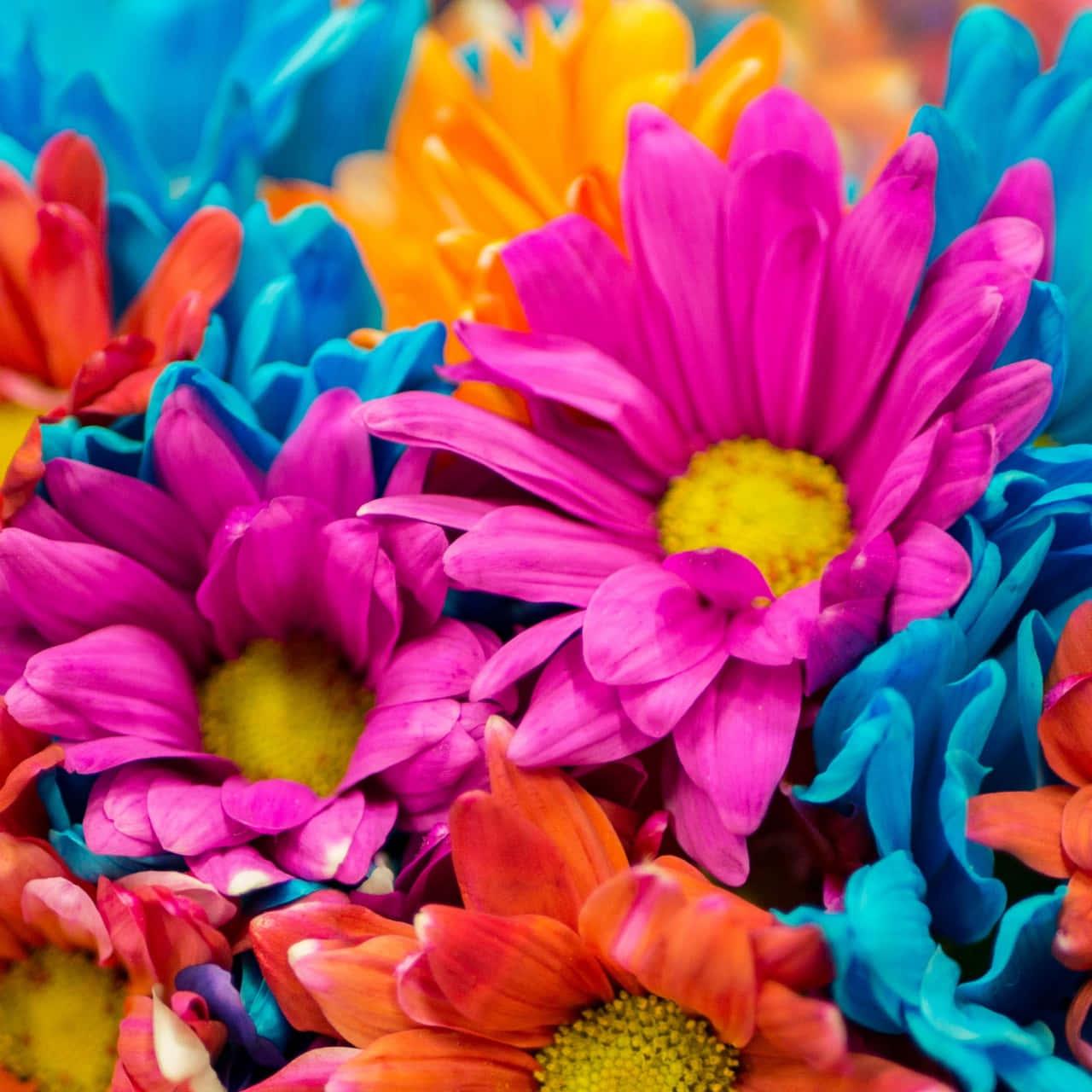 Vibrant Floral Explosion Wallpaper