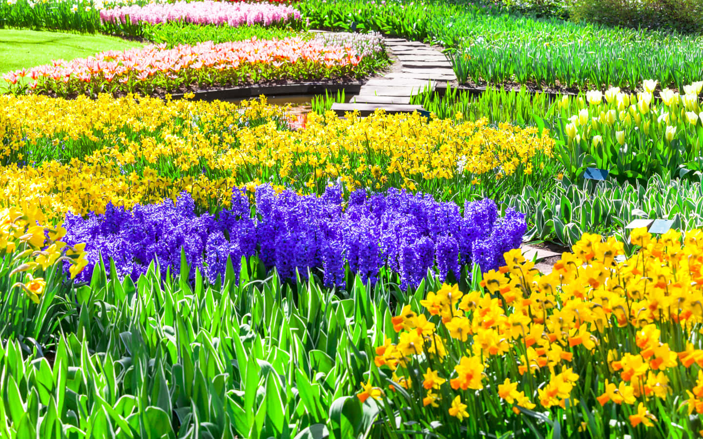 Vibrant Garden Path Spring Blooms Wallpaper